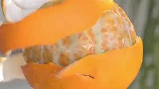 Orange Peeling v307