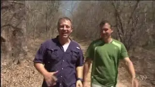 Wild Kratts Intro