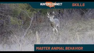 Mastering Big Game Animal Behavior: A Guide to Hunting Success