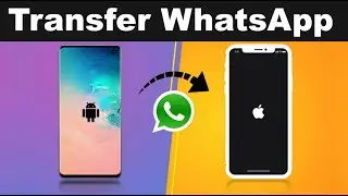 Transfer WhatsApp Messages from Android to iPhone