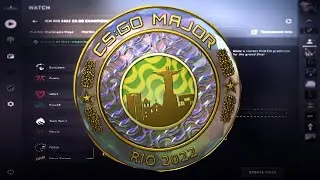 IEM RIO 2022 Pick'EM predictions (Champions Stage)