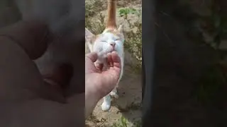 #экодеревушка #животные #экзоты #юмор #крокодилы #улитка #animals #бизнес
