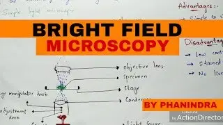 Bright Field Microscopy | Principle | Working | Advantages and disadvantages