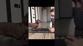 Планка. Ну и что в этом сложного?
