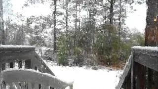 November 1st 2014 Snowstorm, Lexington, South Carolina