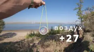 ББ(БанныйБлог) Золотая осень, Мобиба