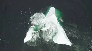 World Ocean Day 2024 - June 8th is World Ocean Day. 4k Drone. Newfoundland and Labrador