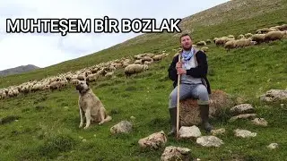 GÖK YÜZÜNDE BÖLÜK BÖLÜK DURNALAR  ( ALDI DERT BENİ )   Tarık kara @tarimtv