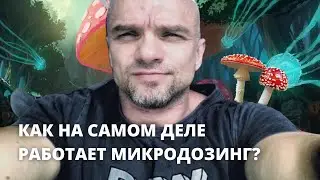 Как на самом деле работает микродозинг мухомора? | Владимир Епифанцев