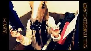 J.S.Bach 平均律クラヴィーアより第一番プレリュード 弾いてみた - Pianist Yuri 【演奏は ガチ】 The Well-Tempered Clavier