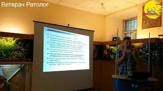 Ветврач Ратолог (Морские свинки)