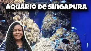 Aquário de Singapura | S.E.A. Aquarium