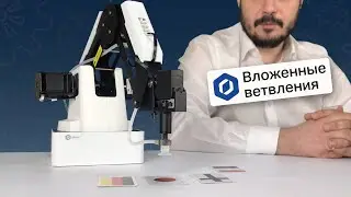 Вложенные ветвления в Dobot Studio [9] Урок по DOBOT