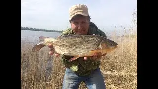 #24 Когда Перемудрил сам Себя Классика Язь Голавль Трофейная Рыбалка на Реке Ловля с Берега на Донку
