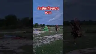 #ร่มบิน #พารามอเตอร์#paramotor#fly#dog