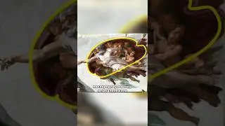 Мозг или матку зашифровал Микеланджело в «Сотворении Адама»? #микеланджело #art