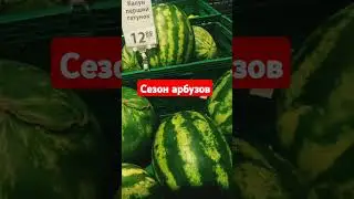Цена на арбузы в августе. Сезон арбузов.