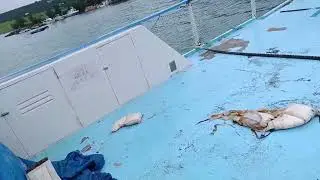 с Днём Рождения меня!!))