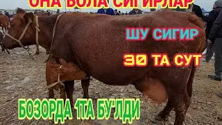 КАРШИ КАРВОН МОЛ БОЗОРИ