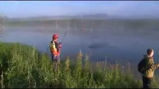 Твичинг от Григория Безменова