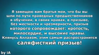 Шейх Рабиа аль-Мадхали: Относительно вопросов «джарх уа та'диль» и чрезмерности в этом.