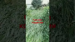 Энди менга 🎸🎸