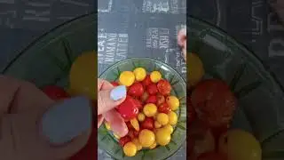 МОИ ПОМИДОРЫ КОТОРЫЕ ВЫРОСЛИ В ПРОШЛОМ ГОДУ СОХРАНИЛИСЬ