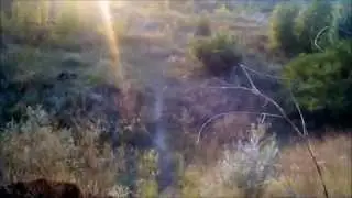 Разговоры. Карьер