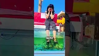 Fish pedicures are pure horror!