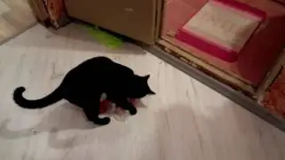 Преступление