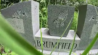 Al Brumfield cemetery-Lincoln county feud family-Harts West Virginia-