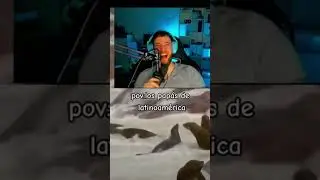 CAROLA REACCIONA A #memes #viral #trendingshorts #trending #humor #funny #fypシ #clips #fyp #foryou