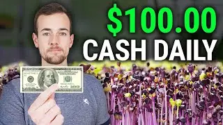 4 Cash Business Ideas To Earn Extra Money