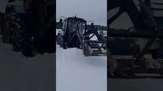 29 ноября 2023 г.