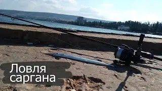 Ловля Саргана на Пилькер
