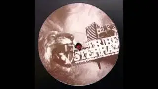Tribe Steppaz Soundsystem   Babylonia