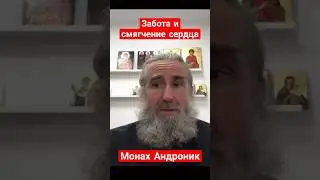 Забота и смягчение сердца | Монах Андроник | Афон