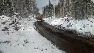 Вывозка леса.