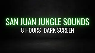 8 Hours of Jungle Ambience - Calming Sounds for Sleep, Relaxation, Yoga, Meditation (Black Screen)