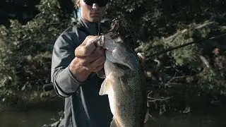 Something Fishy
