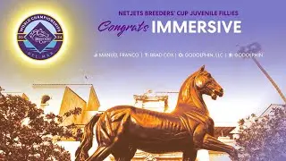 2024 NetJets Breeders' Cup Juvenile Fillies - Immersive
