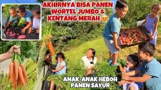 PANEN RAYA WORTEL & KENTANG BARENG ANAK-ANAK