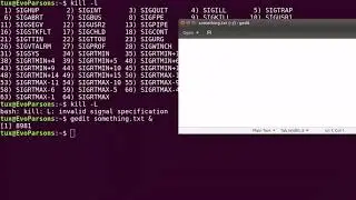 M01T2.8 - Intro to Linux - Sending Signals to Processes