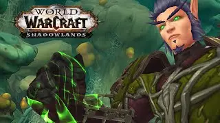 MALDRAXXUS | WoW Shadowlands ALPHA | Hexenmeister #1