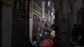 Meri Ulfat Madina Se 💖 | Best Naat #shorts #naat