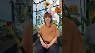 Short Video Challenge is on! 