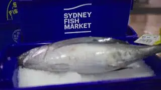 WELCOME TO AUSTRALIA'S HOME OF SEAFOOD
