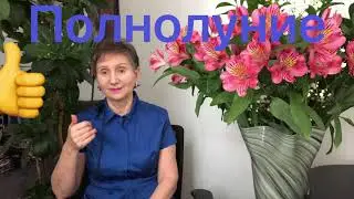 🔴Полнолуние 28 марта 2021 🔴Полная луна - время денежных потоков!!!!