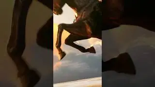 Meduza - Pegasus (Remix)