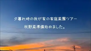 夕暮れ時の我が家の家庭菜園ツアー　秋冬野菜の準備始めました。